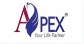 Apex logo